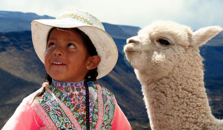 Alpacas are part of our communities